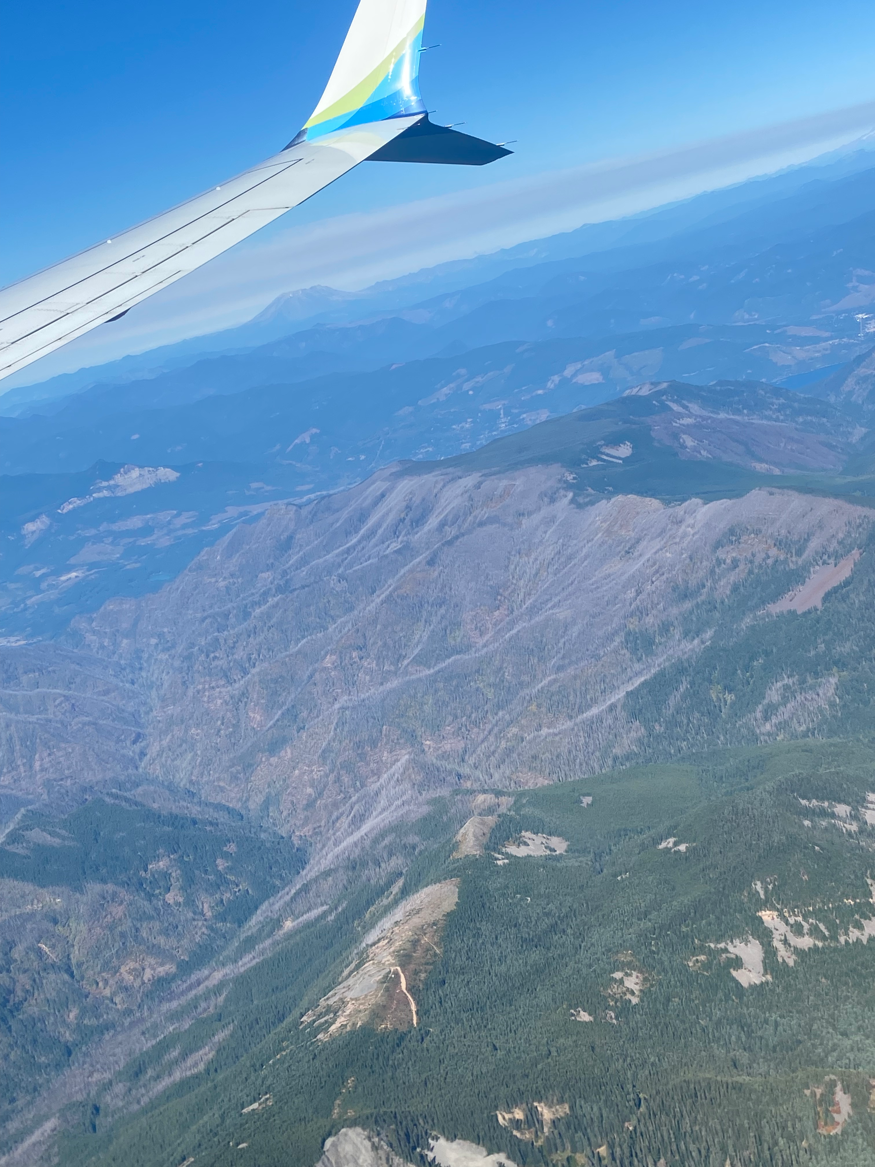 An air shot of a large forest fire scar I saw on my way to Portland.