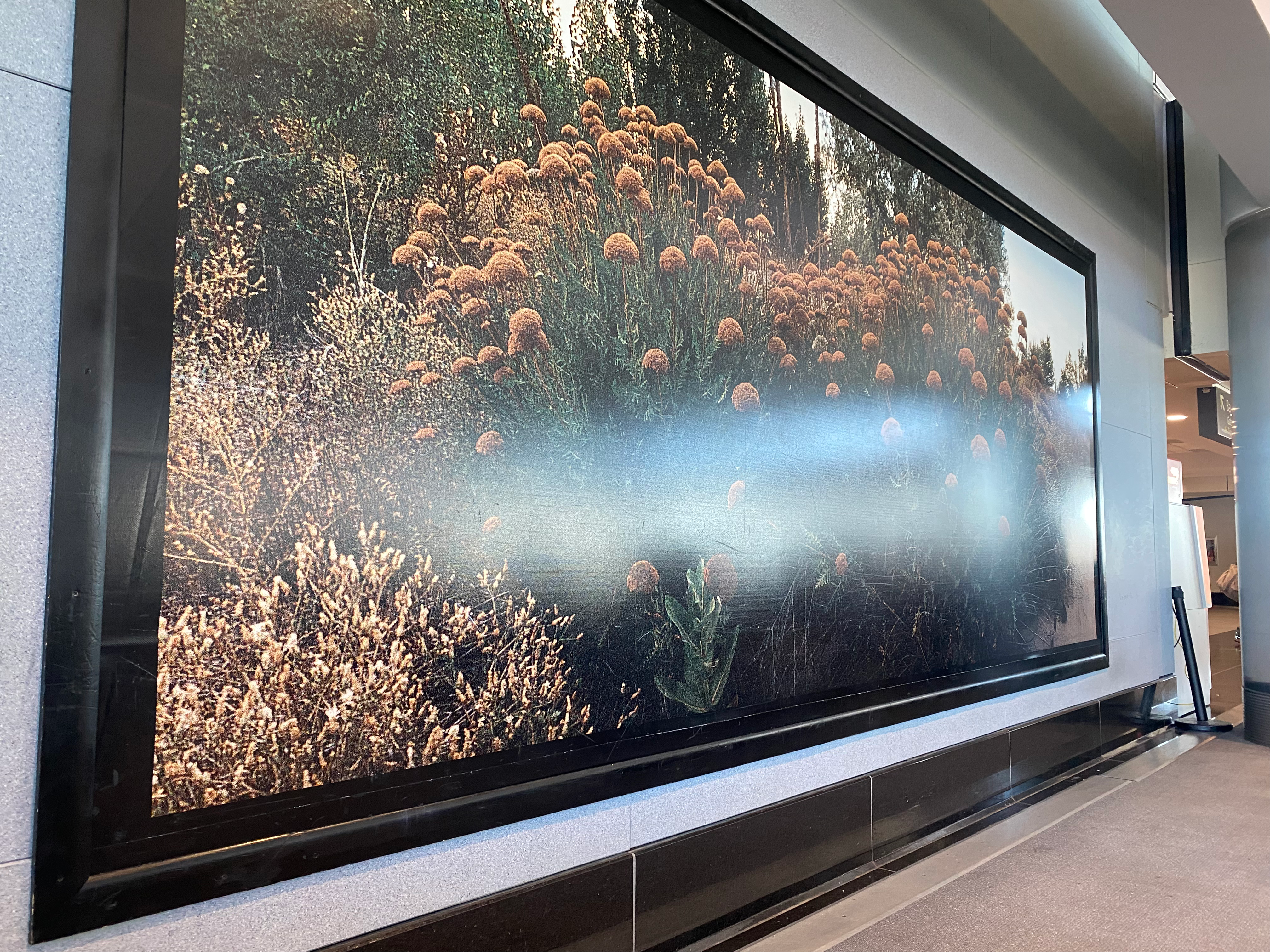 Denver Airport Art I'm looking at as I write this.
